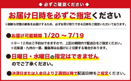  尾鷲産 活アワビ・活サザエセット 1.5kg　HA-54