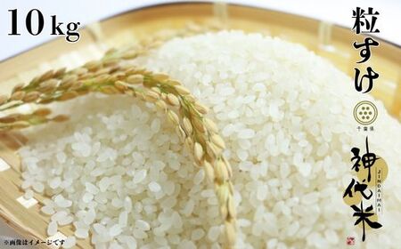 神代米 （ 粒すけ ） 精白米 10kg ／ 米 お米 こめ コメ