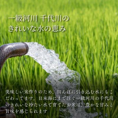 ふるさと納税 八頭町 因幡の白兎米 コシヒカリ 令和7年産 精米済 10kg(5kg×2袋) |  | 02
