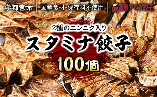 
宇都宮餃子 ニンニクマシマシ スタミナ餃子 100個 保存料不使用【冷凍餃子 ぎょうざ ギョウザ にんにく 冷凍食品 惣菜 栃木県 宇都宮市 】※配送不可地域：離島
