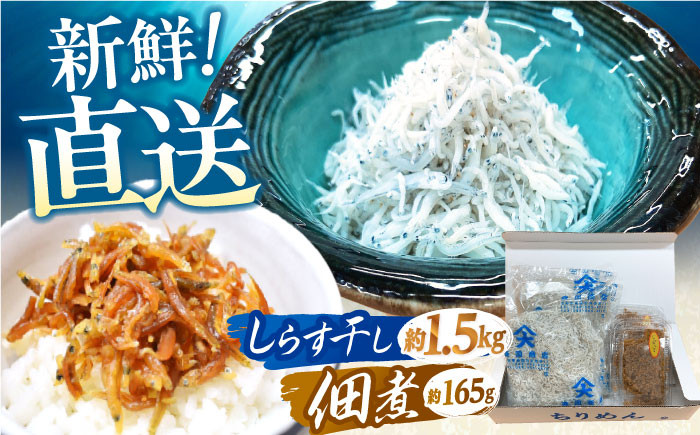 
            しらす干し（約1.5kg）と佃煮（約165g）セット /森国商店 浜で瞬時に釜出し 高知のしらす【グレイジア株式会社】 [ATAC487]
          