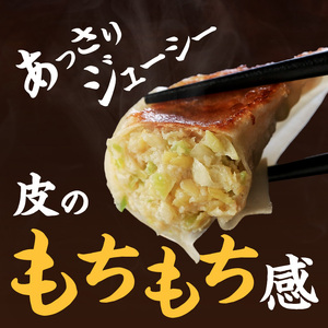 浜松餃子 元祖 石松 定番餃子 60個 餃子 国産 冷凍餃子 冷凍食品 惣菜 配送不可：離島