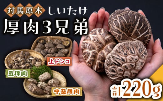 対馬 原木 しいたけ 厚肉 3種 計約220g 《対馬市》【大石商店】椎茸 きのこ 肉厚 干し椎茸 干ししいたけ 乾燥しいたけ [WBJ001]