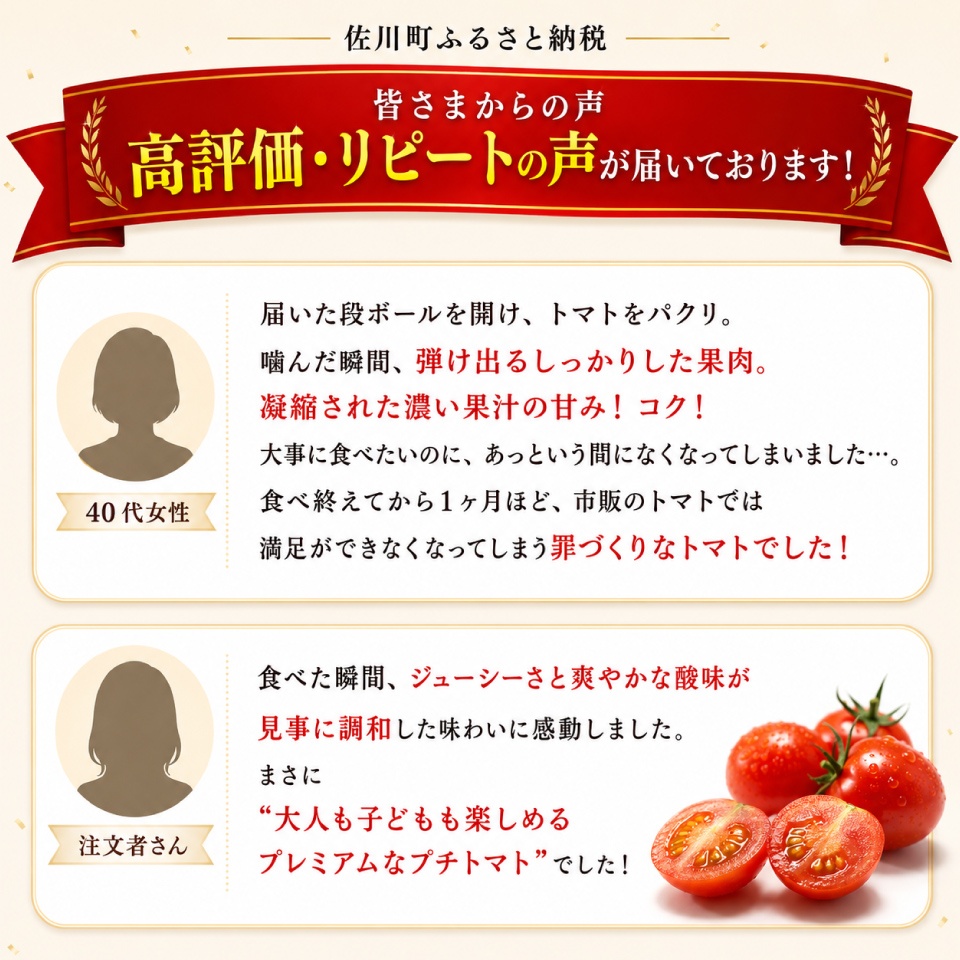 【2025年12月〜2026年7月頃発送】訳あり ミニトマト・フルティカ ＜約1.2kg＞フルーツトマト 訳あり ワケあり 規格外  ましまファーム  アイメック☆栽培