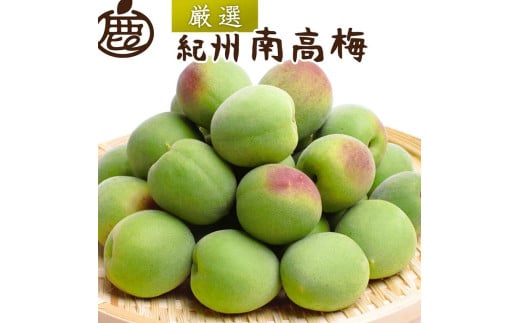 ＜6月発送＞厳選 紀州南高梅(青梅)1kg+30g（傷み補償分）〇【朝摘み・とれたて直送便】【梅干し・梅酒・梅ジュース】【和歌山産】※北海道・沖縄・離島への配送不可 ※2025年6月上旬～6月下旬頃に順次発送予定
