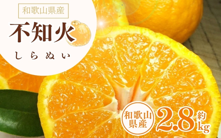 デコ不知火(デコポンと同品種) 約2.8kg サイズおまかせ ※2026年2月上旬～2026年4月上旬頃に順次発送予定(お届け日指定不可) / 不知火 しらぬい デコポン デコ不知火 果物 フルーツ 柑橘 蜜柑 【kztb421C】