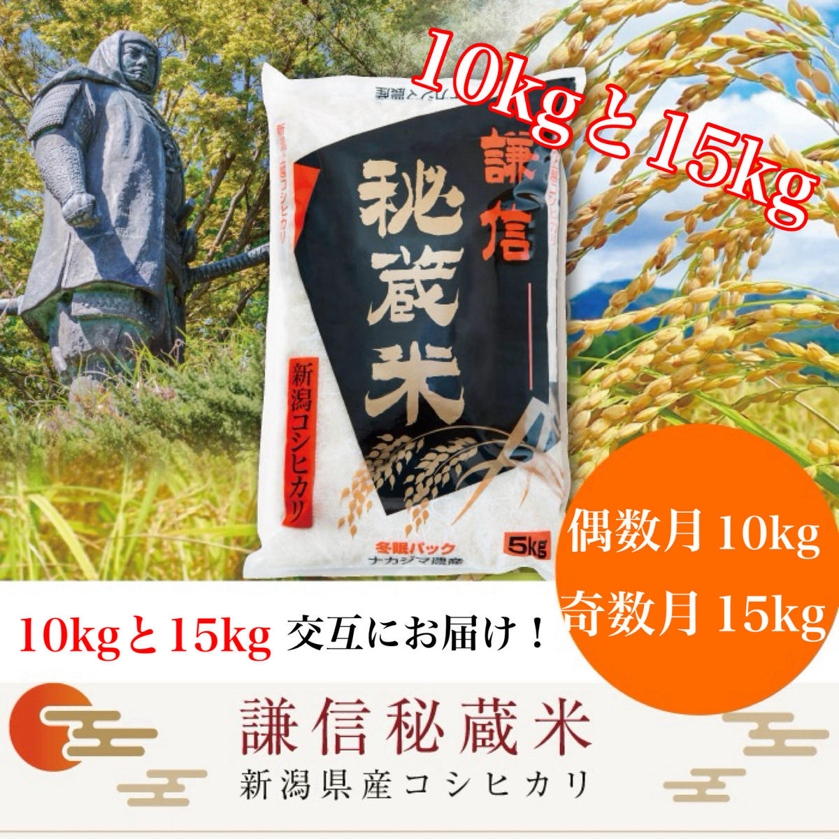 【先行予約｜10月上旬より順次出荷】定期便 12回 月替わり発送(偶数月10kg奇数月15kg)(全12回)  10kg 15kg 米 新潟県産 コシヒカリ  精白米 謙信秘蔵米  お米  こめ コメ おこめ おすすめ こしひかり 新潟 にいがた 新潟米 上越 上越産 上越米 ふるさと納税 定期便 人気