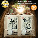 【ふるさと納税】令和6年産 定期便 魚沼産コシヒカリ 白米 5kg2袋 6回 毎月 お届け 米 お米 精米 ブランド米 魚沼産こしひかり コシヒカリ おいしい 美味しい おすすめ 人気 米萬商店 新潟県 小千谷市 K151P309