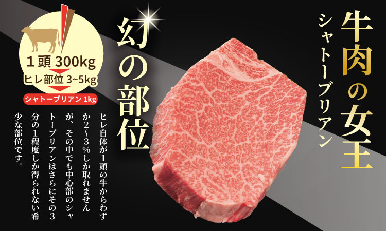 希少部位！A4 〜 A5 佐賀牛 シャトーブリアンステーキ（400g） 佐賀牛