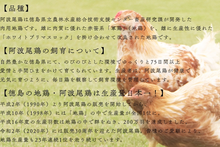 AWAODORILAB３種１５食　 ガパオ５食　バターチキンカレー５食　 ごちそうカレー ５食　 常温 レトルト
