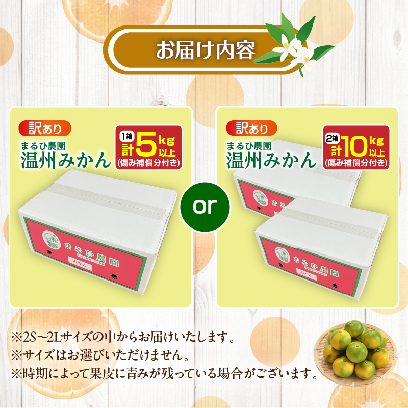 ≪内容量が選べる≫訳あり 温州 みかん 傷み補償分付き まるひ農園 期間限定 数量限定 フルーツ 果物 くだもの 柑橘 ミカン 国産 食品 デザート おやつ 人気 スイーツ_S-ZZV2-25_イメー