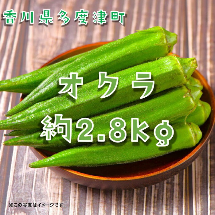 【ふるさと納税】オクラ約2.8kg　40ネットまたはバラ詰め〔提供：ことひら街道〕食物繊維、β-カロテン、ビタミンC、カリウム、葉酸