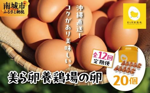 卵の黄身が掴めるほどの新鮮さ 美ら卵養鶏場の卵 20個【12ヶ月定期便】