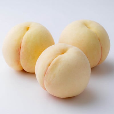 岡山の白桃(晩生種)　大玉3玉(約900g)【配送不可地域：離島】