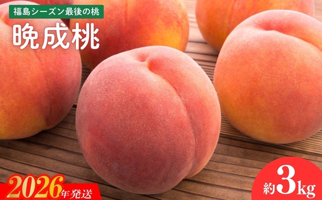 
            No.2689福島シーズン最後の桃『晩成桃』約3kg【2026年発送　先行予約】
          