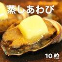 【ふるさと納税】あわび（蒸し）50g×10粒 海の幸 【配送不可：離島】　 魚介類 海の幸 蒸し鮑 殻付き ステーキ ソテー バーベキュー キャンプ つまみ 晩酌 日本酒 肴 一品料理