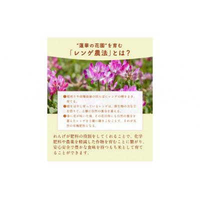 ふるさと納税 氷川町 蓮華の花園(もち米) 5kg 精米 JAやつしろカントリー利用組合 熊本県 氷川町 |  | 01