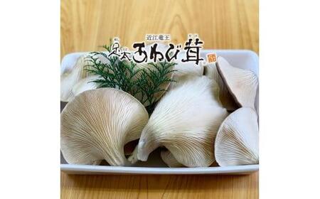 特選 竜王 足太あわび茸 生 1kg