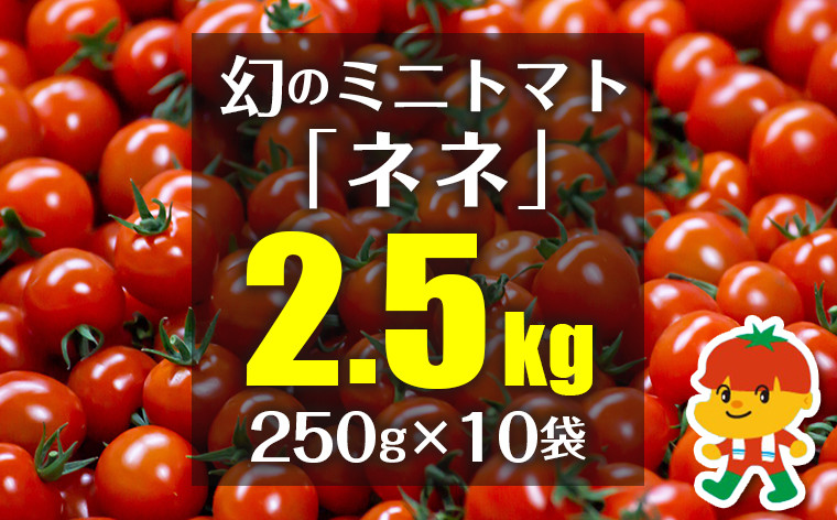 
            幻のミニトマト「ネネ」2.5kg（250g×10袋）
          