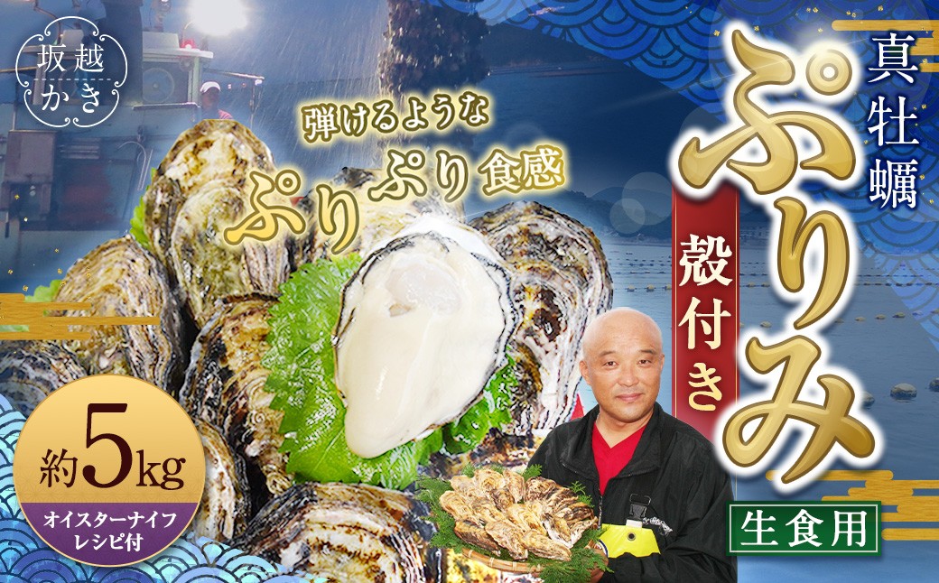 
                  生食用 真牡蠣「ぷりみ」約5kg かき 牡蠣【2026年3月上旬より順次発送開始予定】
                