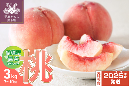 【2025年配送分】甲府市産自然塾の桃3kg