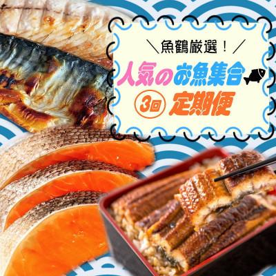ふるさと納税 北山村 【毎月定期便】魚鶴厳選!人気のお魚集合定期便(さば・銀鮭・うなぎ)【tkb307】全3回