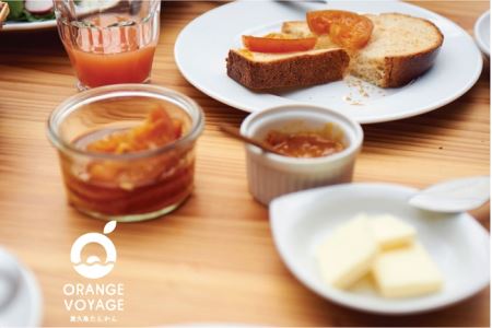 ＜特産品コンクール優秀賞受賞＞屋久島たんかんスライスママレード６個セット