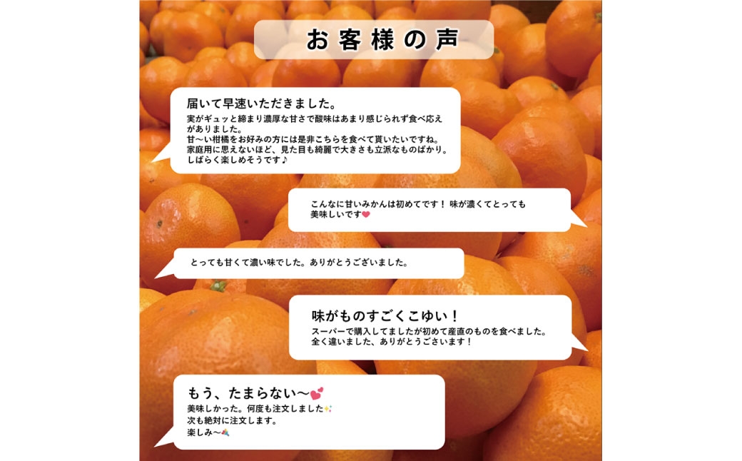 甘夏約12kg