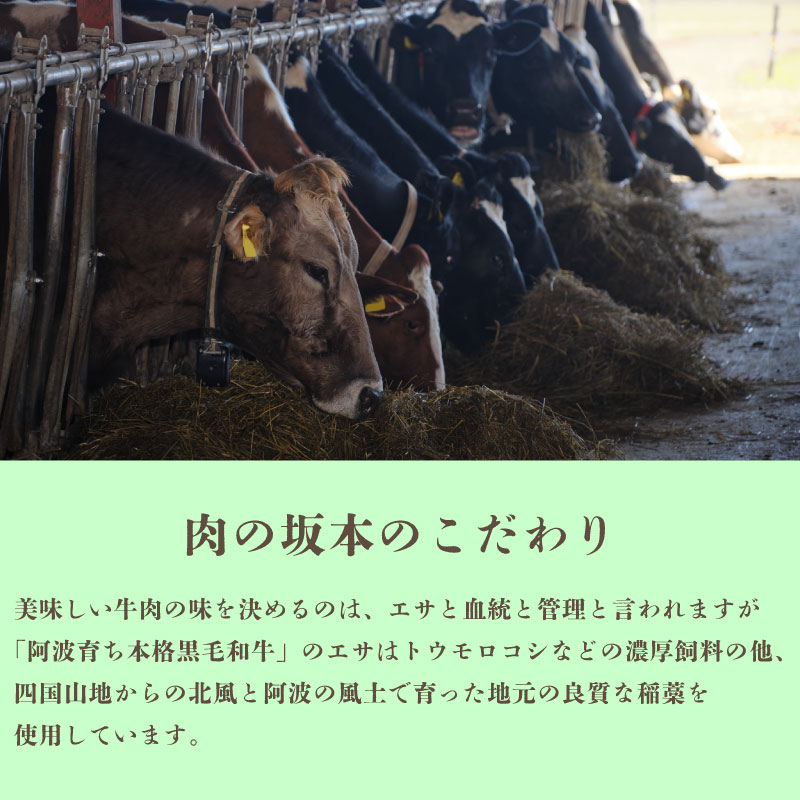 国産 豚肉 バラ スライス 1kg 阿波とん豚