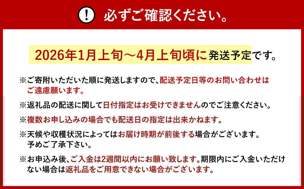 福岡県産 あまおう 約280g×6パック