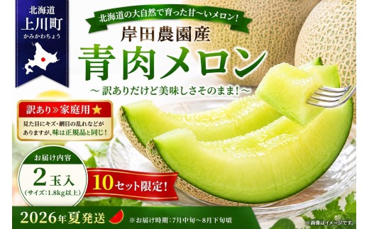 ≪訳あり≫家庭用★2026年夏発送★ 岸田農園産 青肉メロン 2玉入り(サイズ:1.8kg以上)【10セット限定】【 果物 メロン フルーツ 北海道 上川町 岸田農園 甘いジューシー 季節限定 甘みた