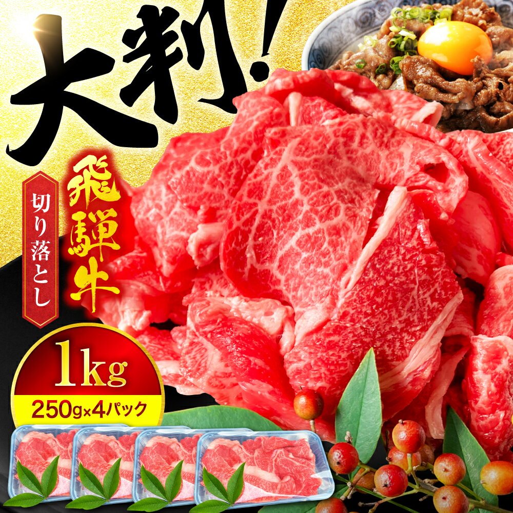 【ふるさと納税】A5ランク 飛騨牛 切り落とし 1kg(250g×4)【有限会社マルゴー】牛肉 飛騨牛 土岐市 [MBE003]
