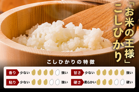 【6ヶ月定期便】令和7年産 新米 コシヒカリ 米 10kg (5kg×2袋) 計60kg 白米 こめ こしひかり 国産 国産米 取り寄せ ごはん ご飯 コメ お取り寄せ お弁当 弁当 おにぎり 産地直