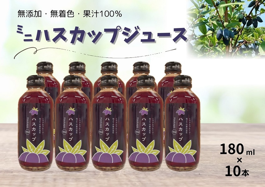
            北海道 ハスカップミニジュース 10本 180ml×10本 無添加 ストレート ジュース 果汁100％
          