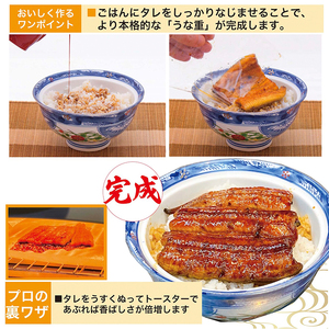 AT17_うなぎ蒲焼3人前（1人前約100g×3）贈答用パッケージ｜お取り寄せ グルメ 国産 鰻 お歳暮 御歳暮