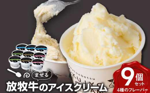 北海道 お菓子 スイーツ 放牧牛 アイスクリーム 3種9個 セット アイス 冷凍 ギフト