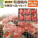 【ふるさと納税】漢方和牛特選焼肉食べ比べセット 80g×6種 計480g