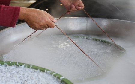 ご家庭用　和歌山県産　釜揚げしらす（冷蔵）500g※北海道・沖縄・離島配送不可/ しらす丼 丼ぶり シラス 冷蔵 ギフト お取り寄せ 和歌山県 田辺市 【mst024-c】