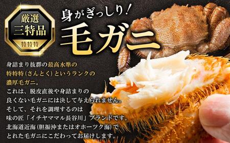 先行予約【厳選三特品】北海道産近海毛ガニ650g前後×2尾 2025年9月上旬発送開始予定【 毛がに 北海道 かに 蟹 かにみそ 小分け 毛蟹 八雲 海産物 魚介類 水産物応援 水産物支援   】