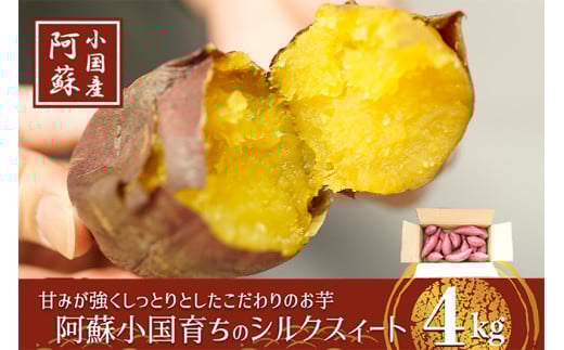 【下巣畑農産】先行予約 令和7年産 熟成『小国シルクスィート』4kg