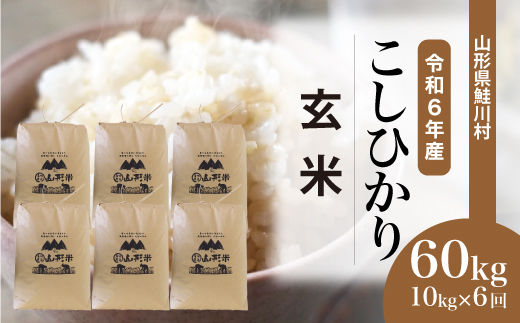 ＜令和6年産米＞ 令和7年3月中旬より配送開始 コシヒカリ【玄米】60kg定期便(10kg×6回)　鮭川村