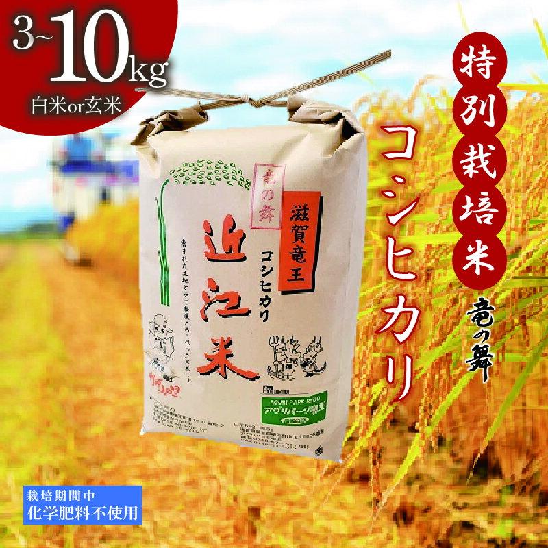 【ふるさと納税】 コシヒカリ 白米 or 玄米 3kg ~ 10kg 2025年産 竜の舞 特別栽培米 国産 安心 安全 近江米 米 お米 白米 お弁当 玄米 産地直送 滋賀県 竜王町 送料無料