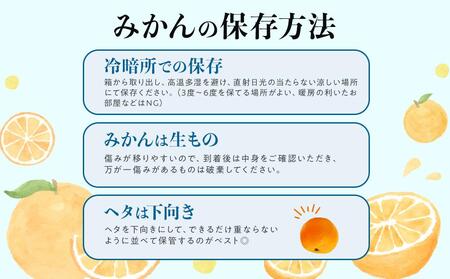 先行予約 早生みかん 約 5kg サイズ混合 和歌山県 有田みかん  2025年11月中旬頃発送