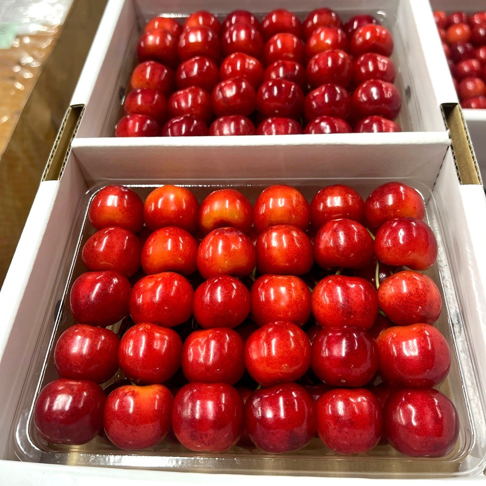
            さくらんぼ（紅秀峰）４００ｇ×２パック　２Ｌ　並び詰め　0049-2506
          
