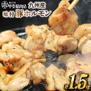 【ふるさと納税】九州産 味付け肉 豚ホルモン 300g×5 計1.5kg [甲斐精肉店 宮崎県 日向市 452060706] 肉 お肉 豚肉 豚ホル 味付き 焼肉 BBQ 冷凍