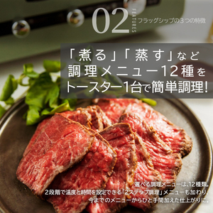 アラジン トースター フラッグシップ グラファイトグリル 調理家電 AET-GP14B(G)