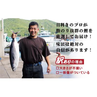 ふるさと納税 愛南町 お試し用 訳あり かつおのたたき 400g サイズ 不揃い 規格外 試供品 お試し品 |  | 01