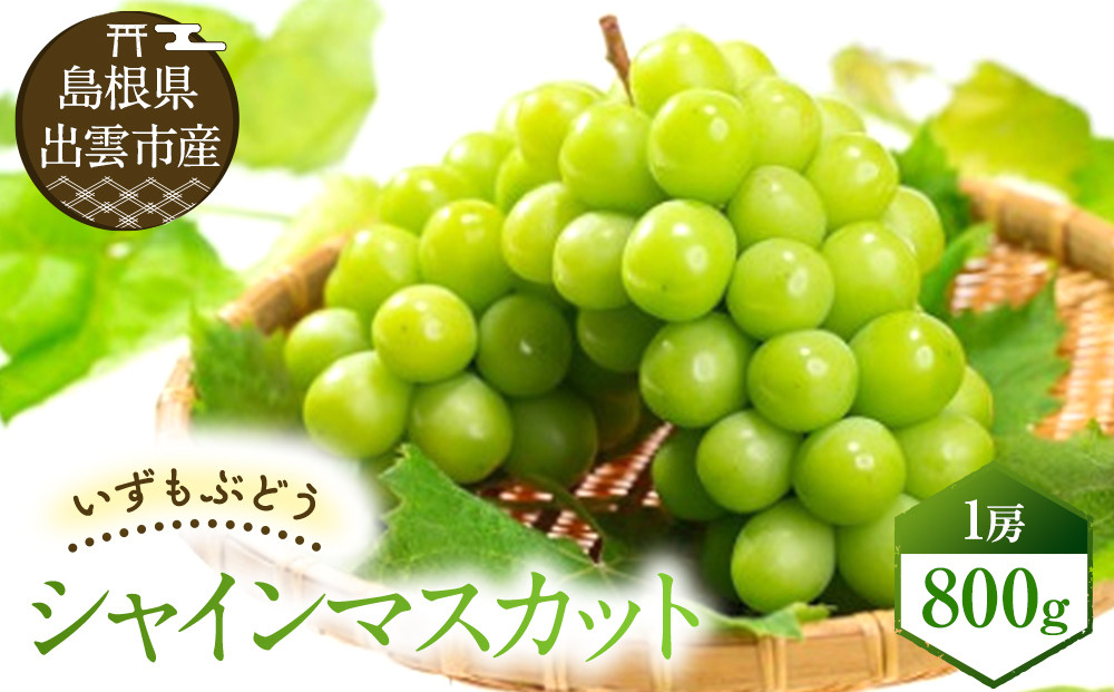 【2026年8月中旬以降発送】いずもぶどう シャインマスカット(800ｇ見当) 美味しい フルーツ 甘い 果物 出雲市産 322032_CG010
