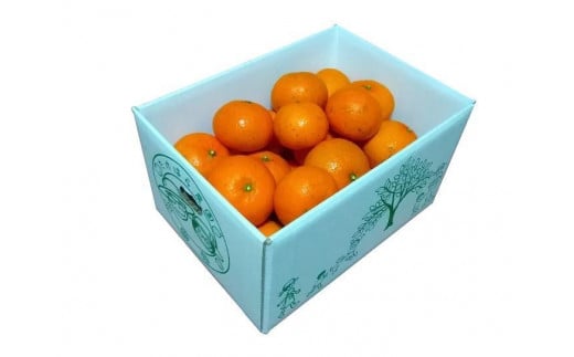 
            【2026年発送分 先行受付】たんかん ご家庭用バラ詰め3kg【たけはら農園】【たけはら農園】【たんかん, 南国フルーツ, 柑橘類, 果物類,  フルーツ, くだもの, 詰め合わせ,ご家庭用, 甘い, ジューシー, 季節限定, フレッシュ, 健康, ビタミンC, 旬の味覚, 産地直送, 鹿児島県, 奄美大島, 瀬戸内町, AD013】
          