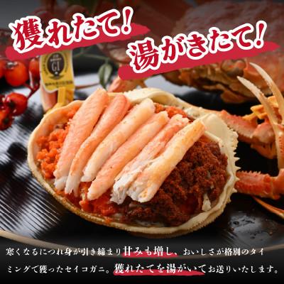 ふるさと納税 美浜町 全て地物!冬の味覚　旬のセイコガニ中(6匹 計約800g以上)食べ方カラー説明書付き |  | 01